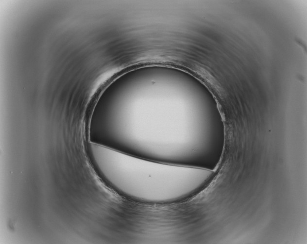 X0000091541030200708171006