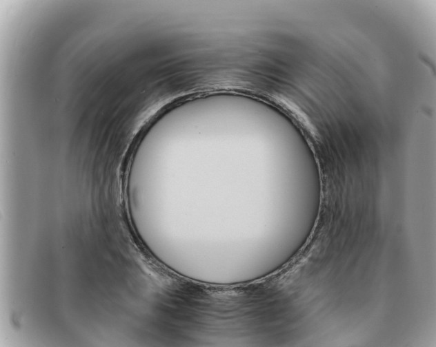 X0000091541031200708171006