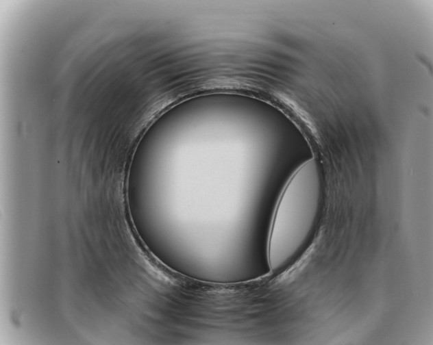 X0000091541033200708171006