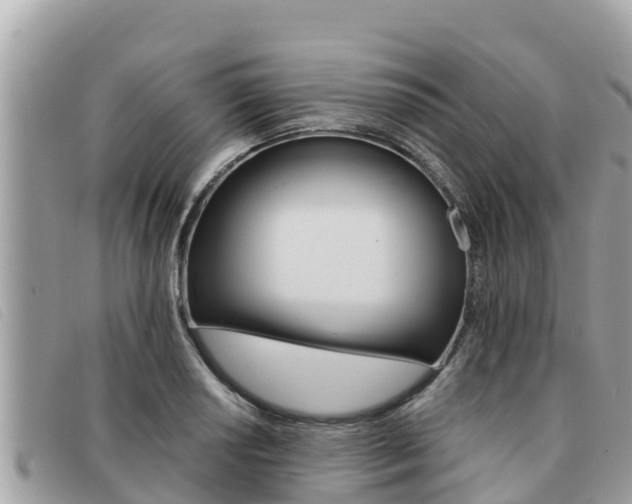 X0000091541034200708171006