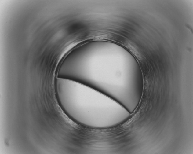 X0000091541036200708171006