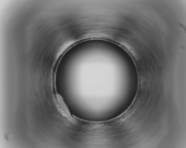 X0000091541038200708171006