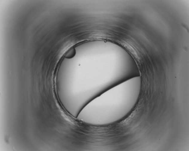 X0000091541039200708171006