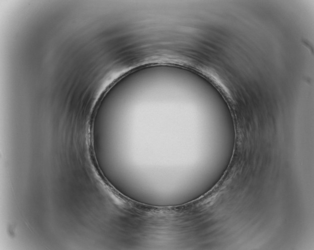 X0000091541040200708171006