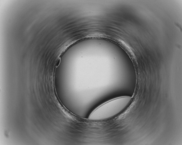X0000091541041200708171006