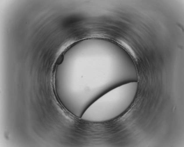 X0000091541043200708171006