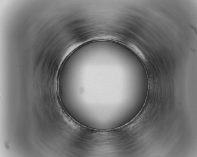 X0000091541044200708171006