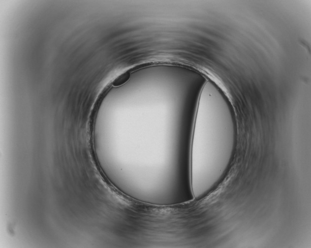 X0000091541045200708171006