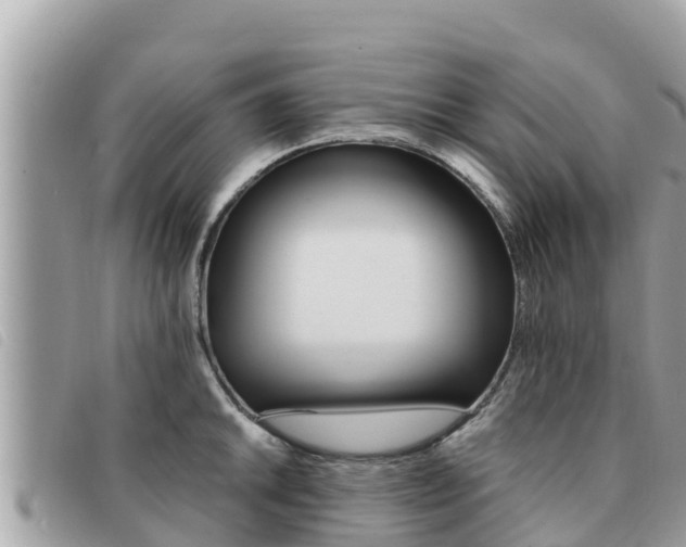 X0000091541046200708171006