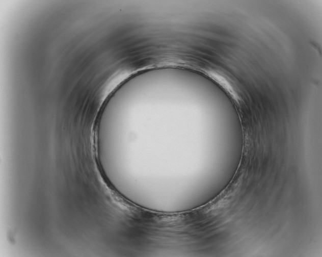 X0000091541047200708171006