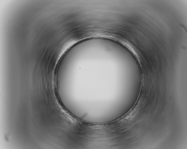 X0000091541048200708171006