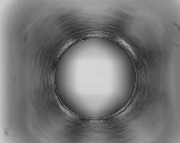 X0000091541049200708171006