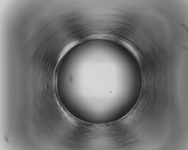 X0000091541050200708171006
