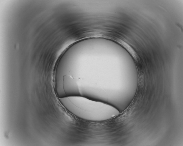 X0000091541051200708171006