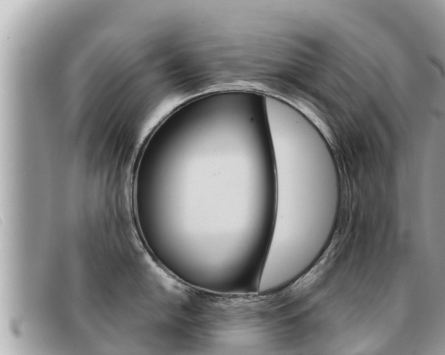 X0000091541054200708171006