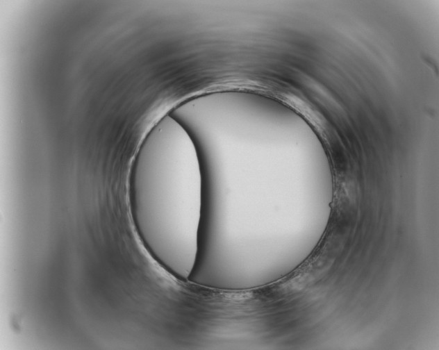 X0000091541055200708171006