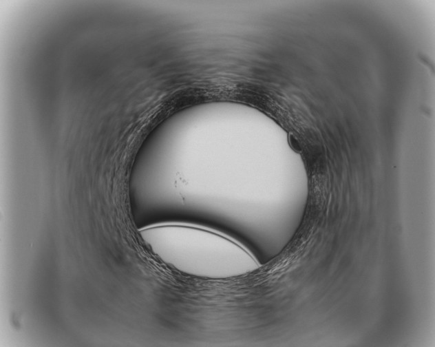 X0000091541057200708171005