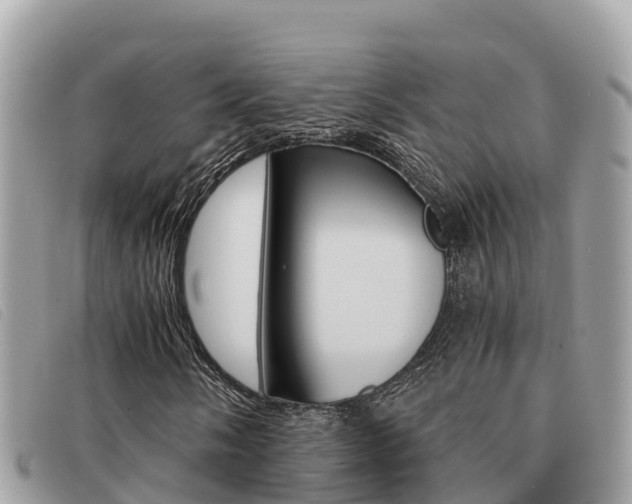 X0000091541058200708171005