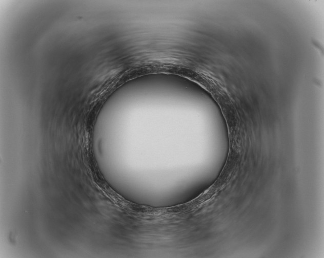 X0000091541061200708171005