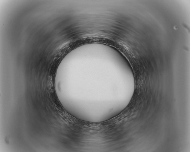 X0000091541062200708171005