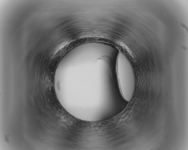 X0000091541064200708171005