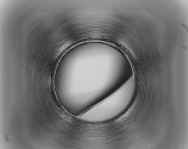 X0000091541065200708171005