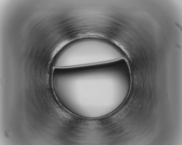 X0000091541066200708171005