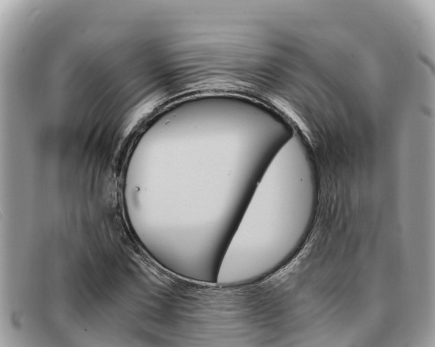 X0000091541067200708171005