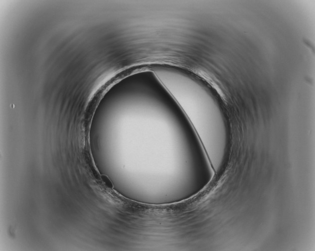 X0000091541069200708171005