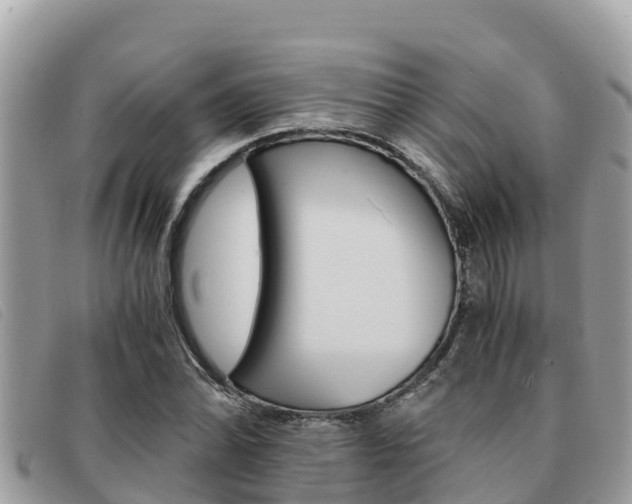 X0000091541070200708171005