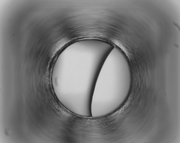 X0000091541071200708171005