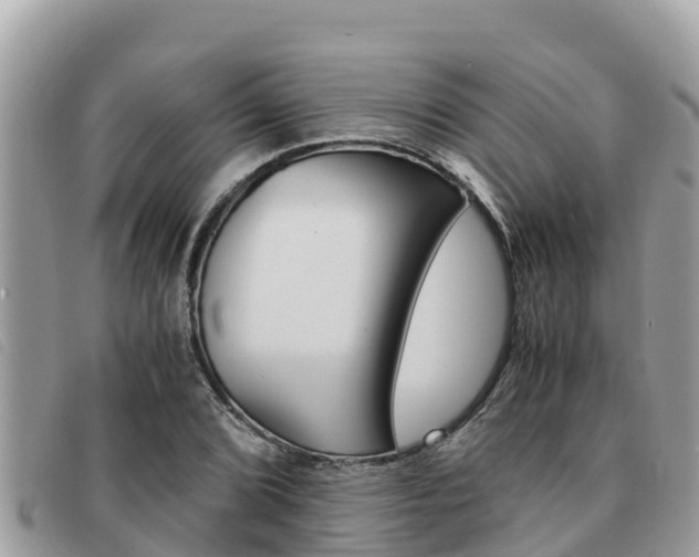 X0000091541072200708171005