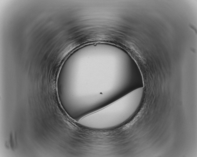 X0000091541073200708171005