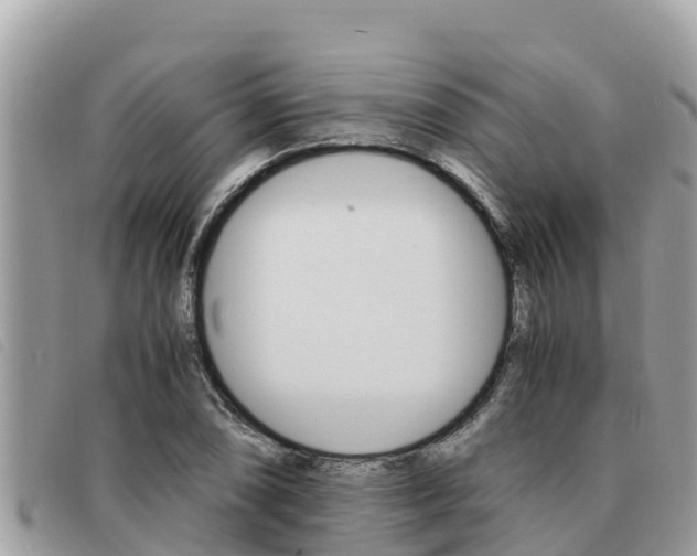 X0000091541074200708171005