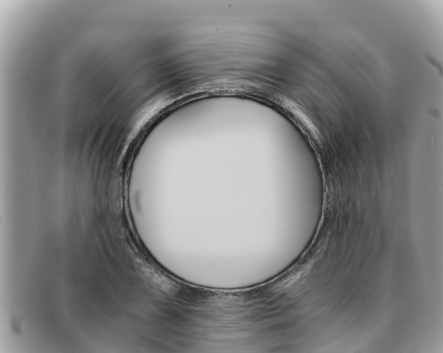 X0000091541075200708171005