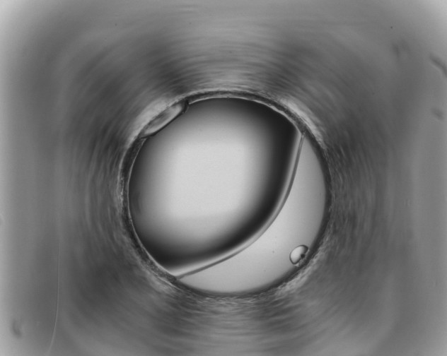 X0000091541077200708171005