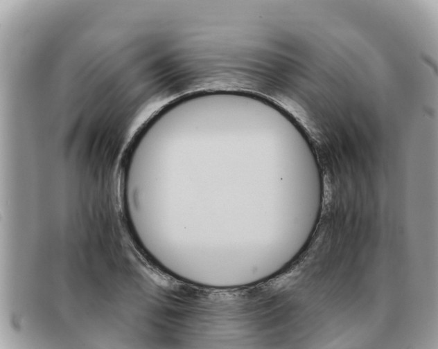 X0000091541078200708171005