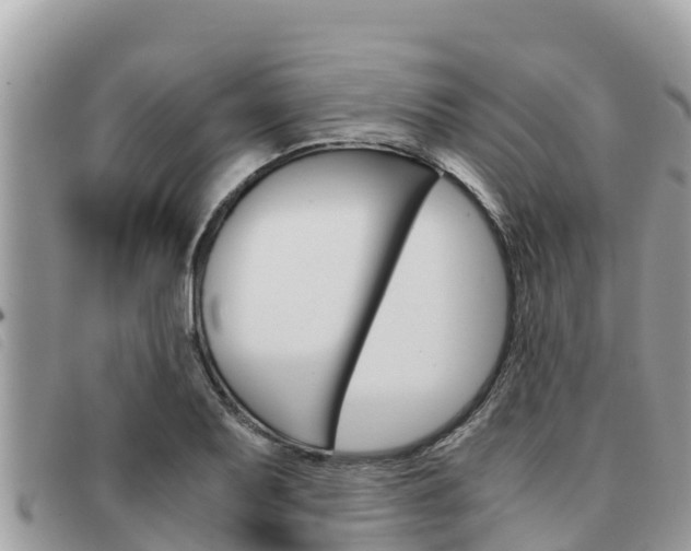 X0000091541079200708171005