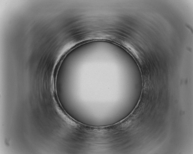 X0000091541080200708171005
