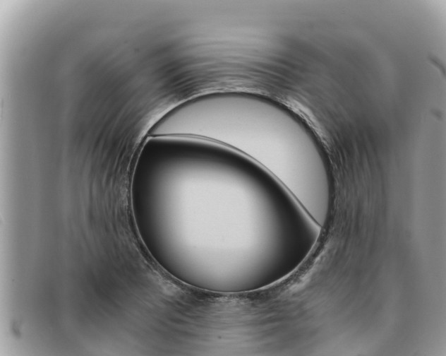 X0000091541081200708171005