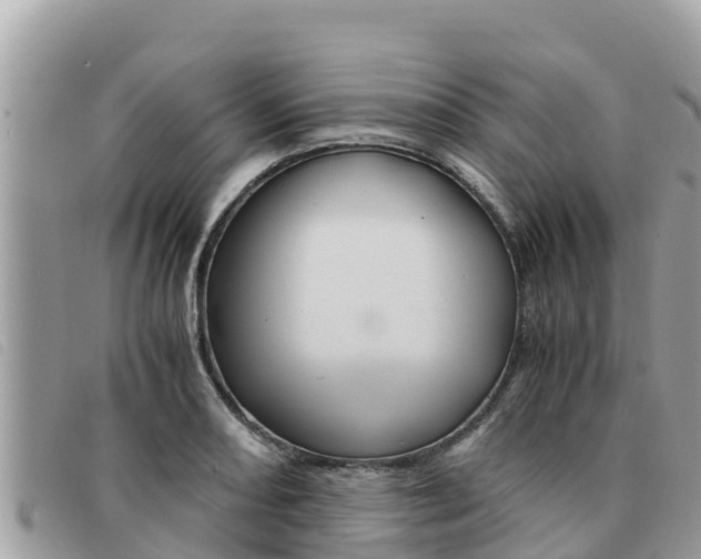 X0000091541082200708171005