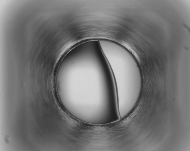 X0000091541085200708171005