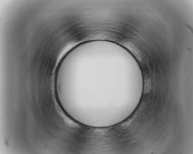 X0000091541086200708171005