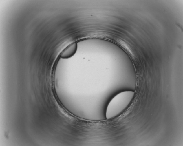 X0000091541087200708171005