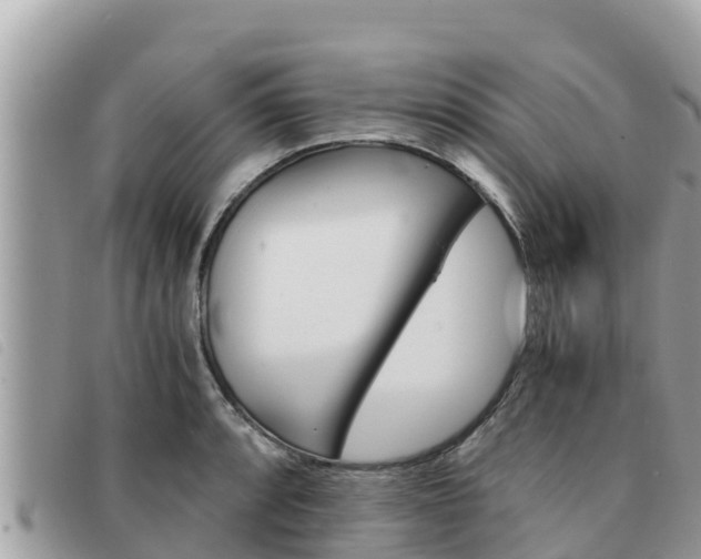 X0000091541088200708171005