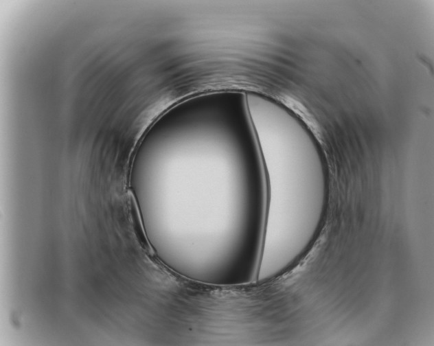 X0000091541089200708171005