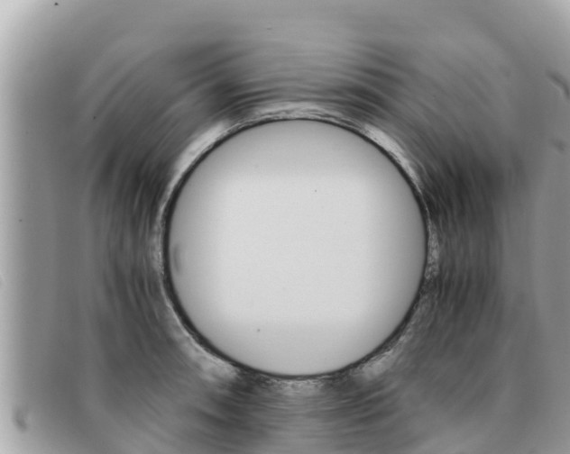 X0000091541090200708171005