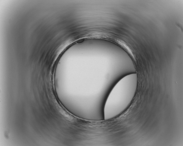 X0000091541091200708171005