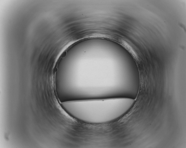 X0000091541092200708171005