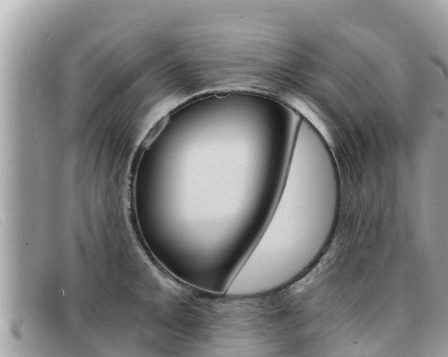 X0000091541093200708171005